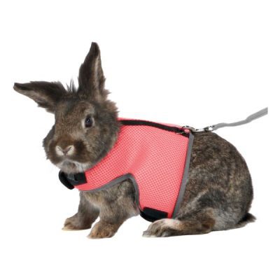 Trixie Small Animal Mesh Harness & Lead Set. (1)