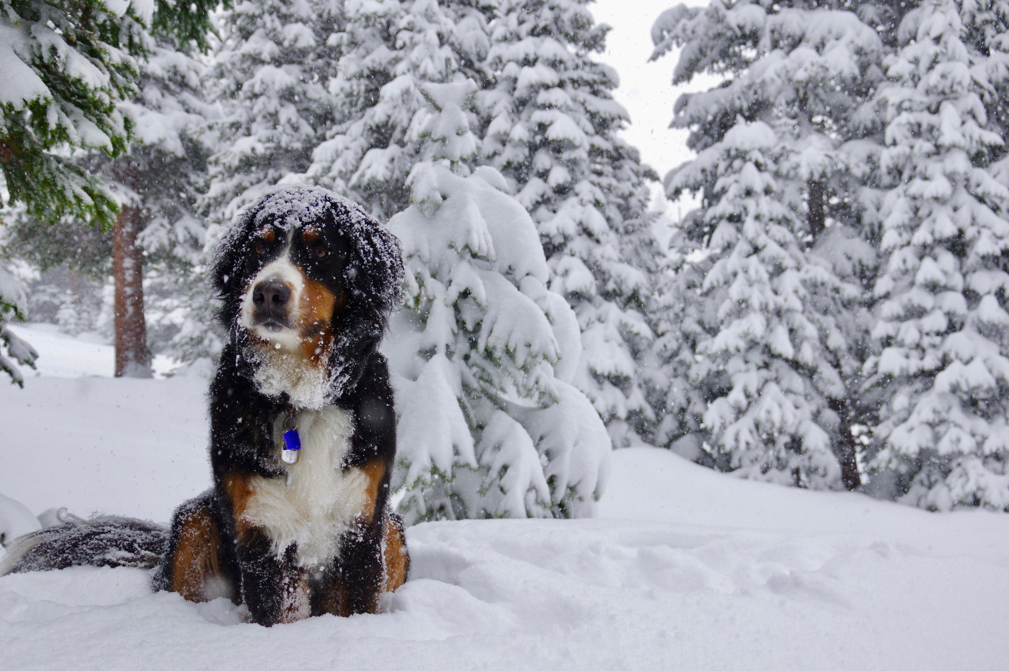 Winter is here
