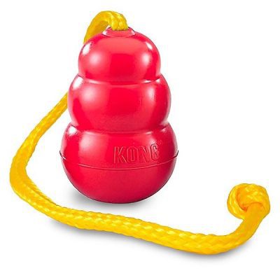 KONG Classic w/ Rope