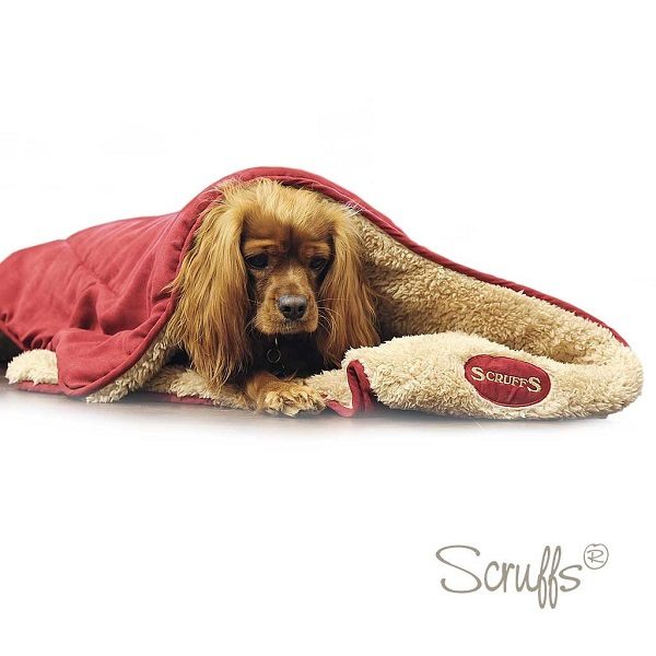 Scruffs Dog Snuggle Blanket