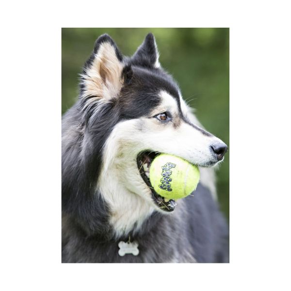 KONG Air Squeaker Tennis Ball w Rope lifestyle