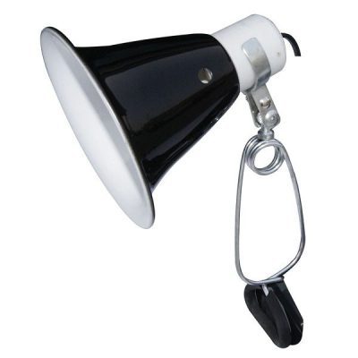 Komodo Dome Clamp Lamp Fixture
