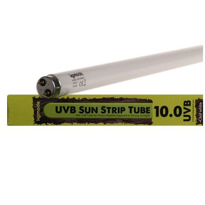 Komodo Fluorescent T8 Bulb UVB Tube 10%