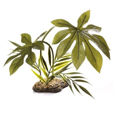 Komodo Jungle Canopy 42cm