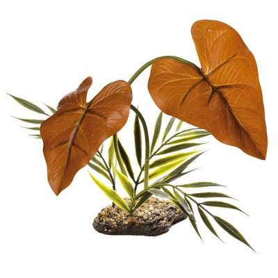 Komodo Rainforest Canopy 38cm