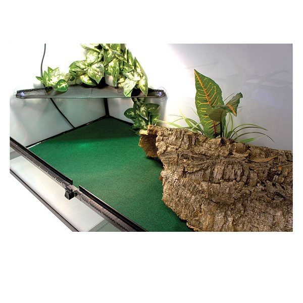 Komodo Reptile Carpet