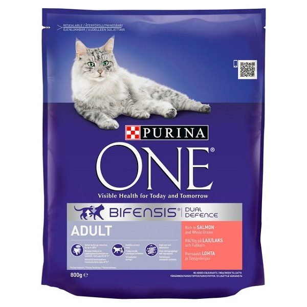 Purina ONE Adult Cat Salmon & Whole Grains 800g