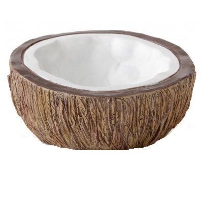 Exo Terra Tiki Coconut Water Dish