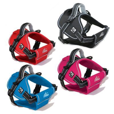 Ancol Extreme Padded Dog Harness
