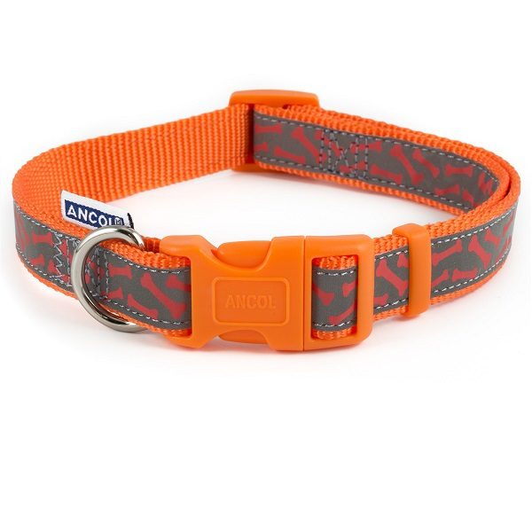 orange reflective dog collar