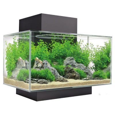 Fluval Edge 2.0 LED Aquarium Kit 23L Black