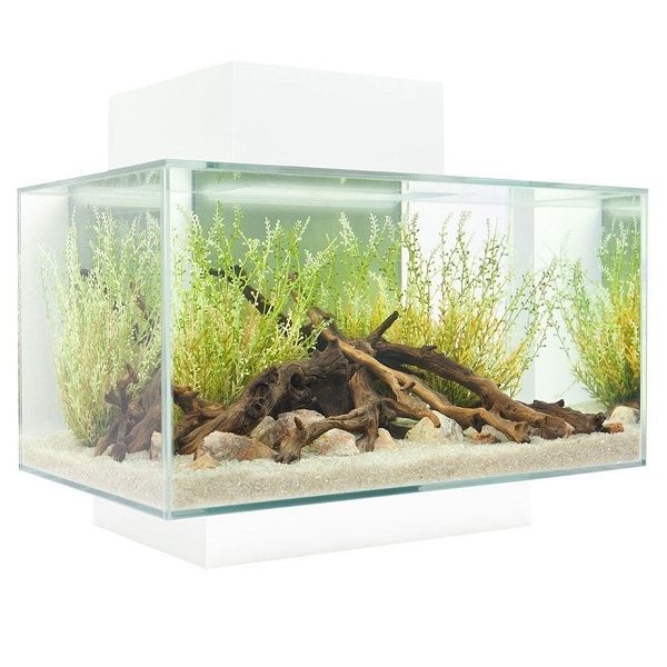 omfattende protestantiske humor Fluval Edge 2.0 LED Aquarium Kit 23L White - Fish Tank - HugglePets