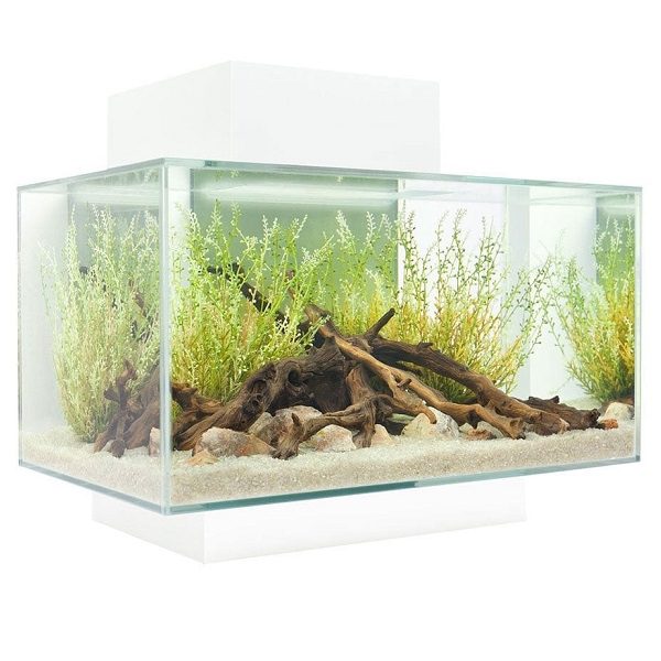 Fluval Edge 2.0 LED Aquarium Kit 23L