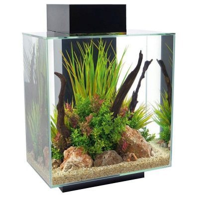 Fluval Edge 2.0 LED Aquarium Kit 46L Black