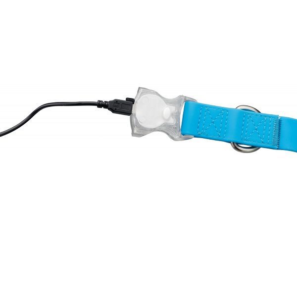 Trixie USB Easy Flash Collar