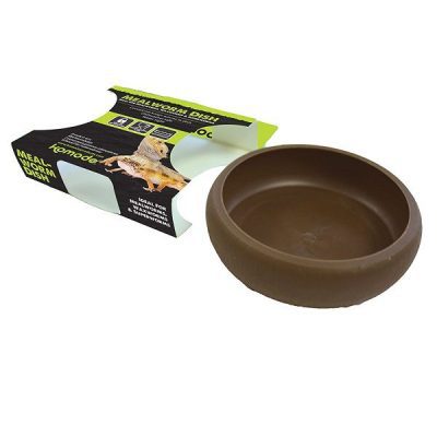 Komodo Mealworm Dish