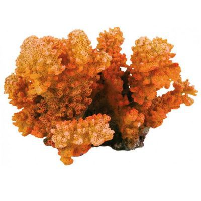 Trixie Branch Coral