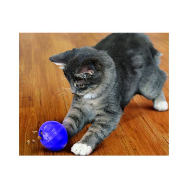 KONG Cat Treat Dispensing Ball lifestyle