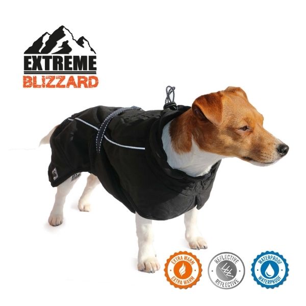 Ancol Extreme Blizzard Dog Coat