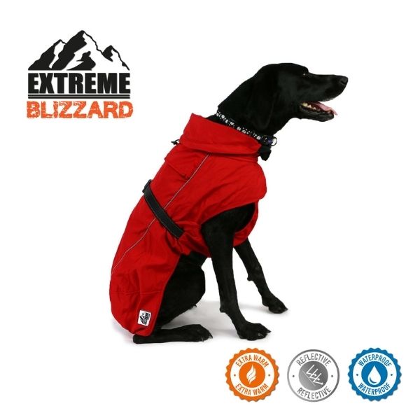 Ancol Extreme Blizzard Dog Coat