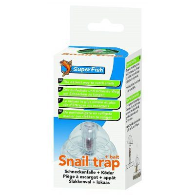 With the bait, the snails are trapped and can then be easily removed.
