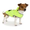 Ancol SplashGuard Dog Rain Coat