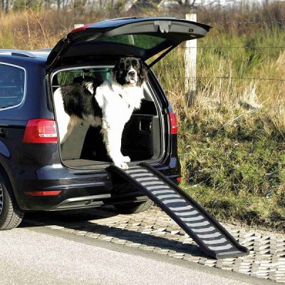 Trixie Petwalk Plastic Folding Ramp
