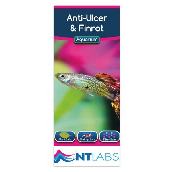 NT LABS Aquarium Anti-Ulcer & Finrot 100ml