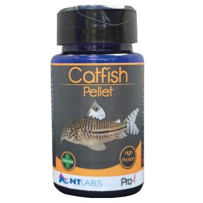 NT LABS Pro-F Catfish Pellet 60g