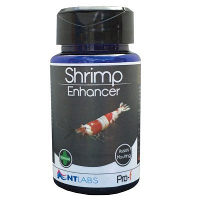 NT LABS Pro-F Shrimp Enhancer 40g