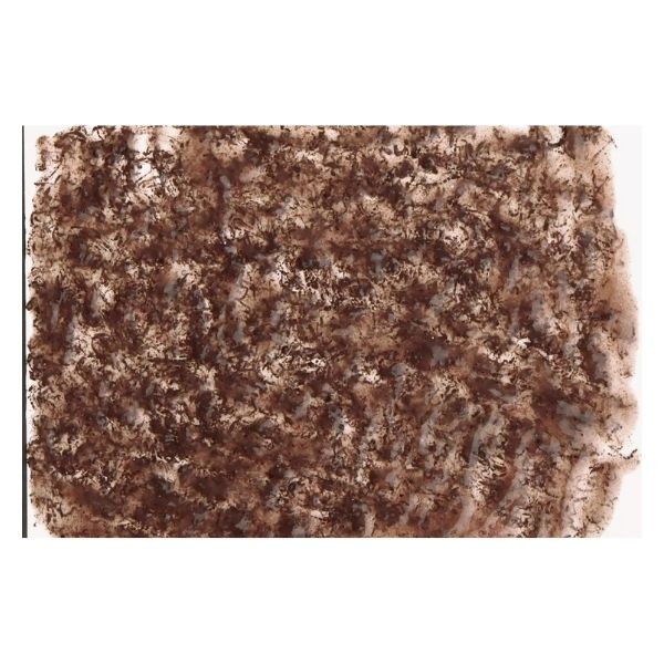 Tetra Fresh Delica Bloodworms