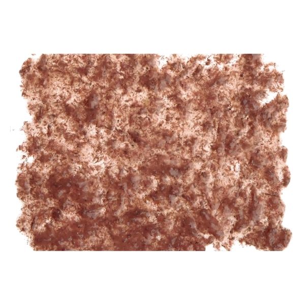 Tetra Fresh Delica Brine Shrimps