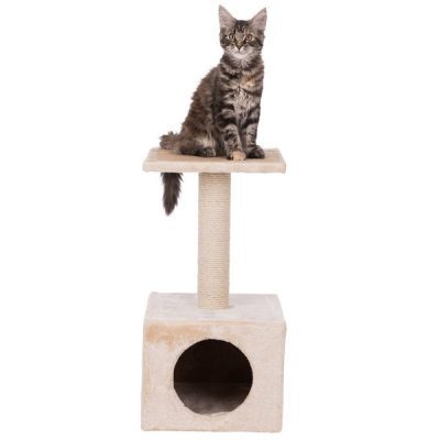 Trixie Junior Zamora Cat Scratching Post