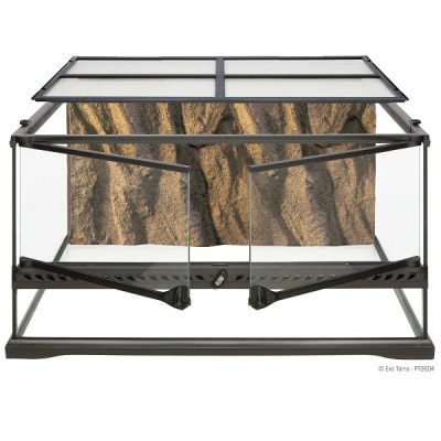 Exo Terra Glass Terrarium - Medium/Low - 60 x 45 x 30cm