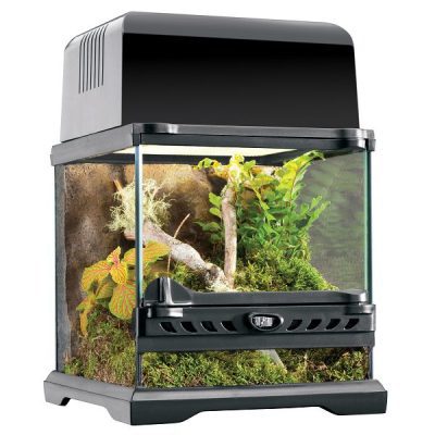 Exo Terra Glass Terrarium - Nano - 20 x 20 x 20cm