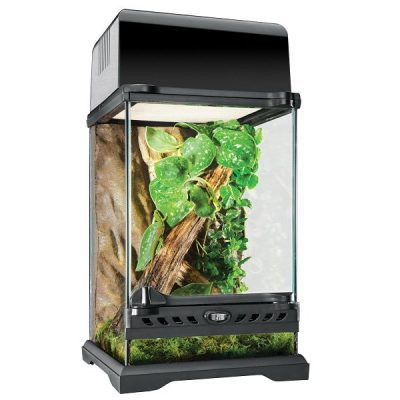 Exo Terra Glass Terrarium - Nano/Tall - 20 x 20 x 30cm