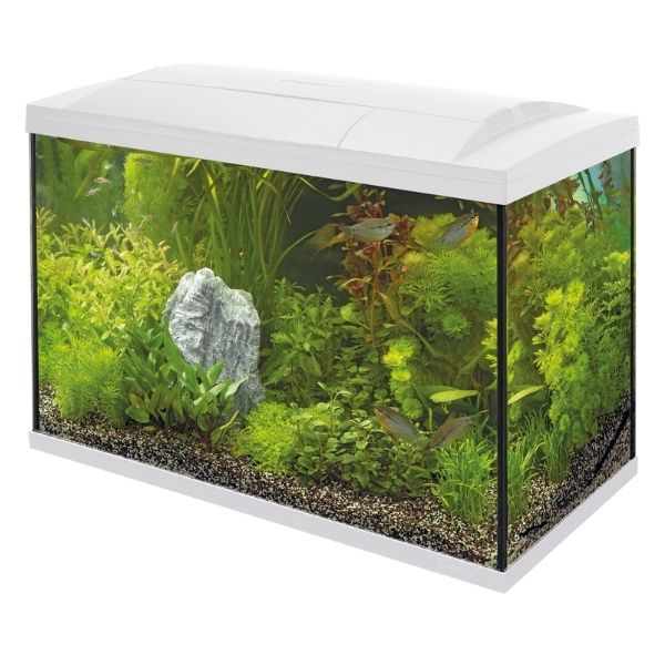 SuperFish Start 100 Tropical Aquarium Kit White