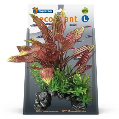SuperFish Henkelianus Deco Plant