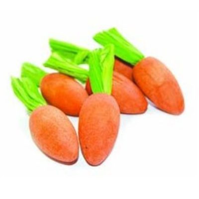 Critter's Choice Carrot Nibblers 6pcs