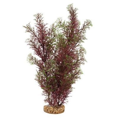 Fluval Aqualife Red/Green Foxtail Plant 14"