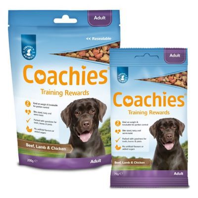 Coachies Adult Training Rewards