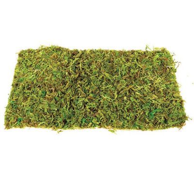 Komodo Natural Moss Mat