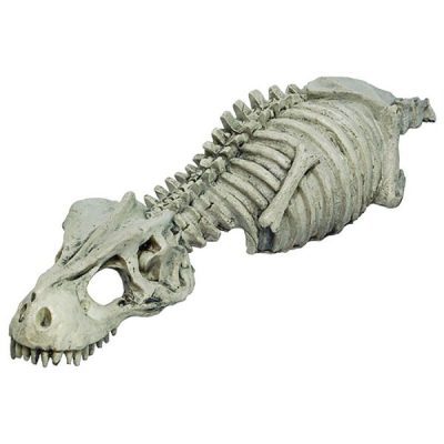 RepStyle Skeleton Dinosaur