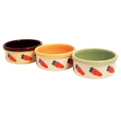 Rosewood Small Animal Ceramic Carrot Bowl