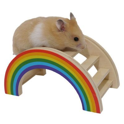 Rosewood Small Animal Rainbow Play Bridge