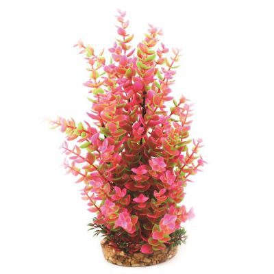 Aqua One Vibrance Pink Hygrophila Plant with Gravel Base