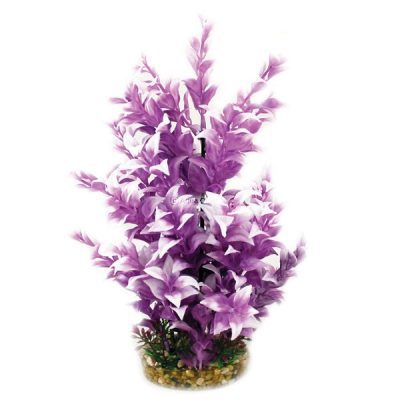 Aqua One Vibrance Purple Ludwigia Plant with Gravel Base