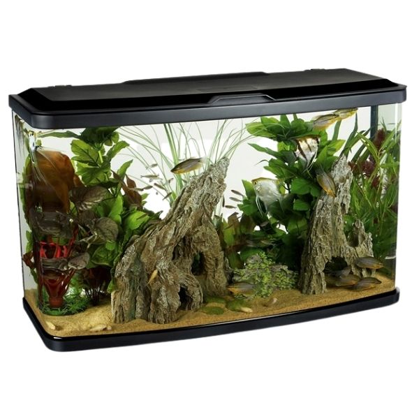 Marina Vue 87L Bent Glass Aquarium