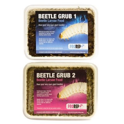 ProRep Beetle Grub Larvae Food