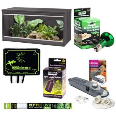 Baby Water Dragon Set Up Deal - Grey